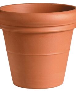 empty plastic pot for plant